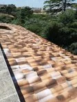 foto costruzioni in legno
